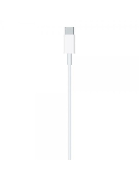 Apple Cavo da USB-C a lightning 1mt