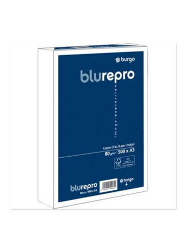 CF10 RISME REPRO80 BLU A5 80G/MQ