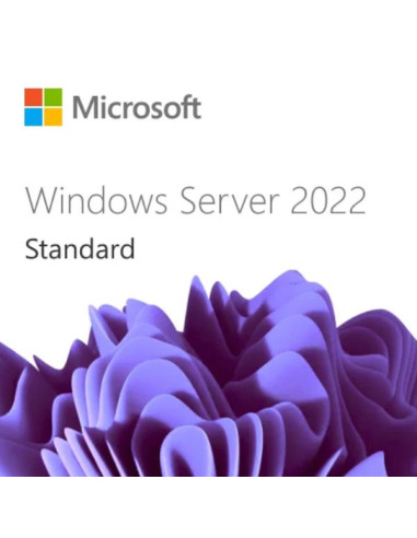 WIN SVR 22 CAL 1 USER 3Y