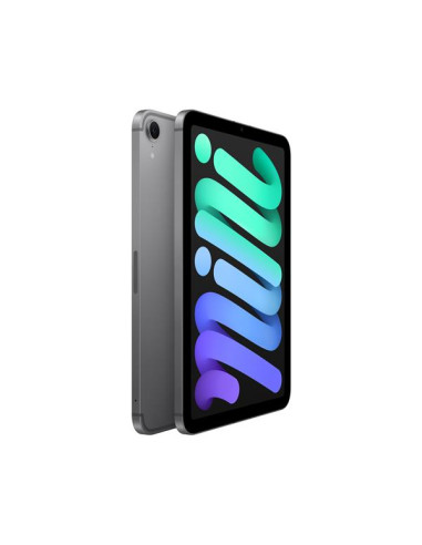 IPAD MINI WF CL 256GB SPACE GRAY