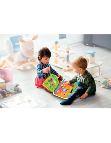 Baby 17984 giocattolo educativo