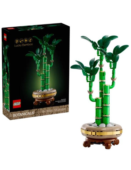 BAMBÙ DEL BUON AUSPICIO