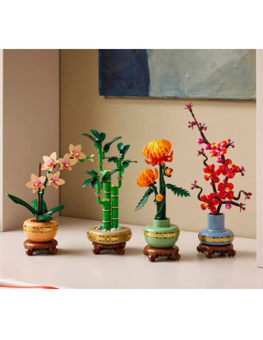 BAMBÙ DEL BUON AUSPICIO