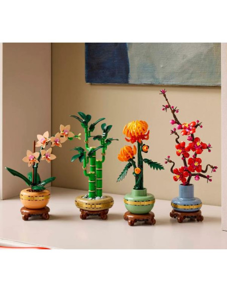 BAMBÙ DEL BUON AUSPICIO