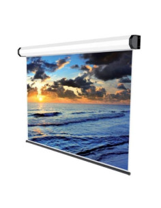 SCHERMO PROIEZIONE ELETTRICO "Professional" 1:1 280x158cm Tela Bianca Pulsantiera a parete inclusa