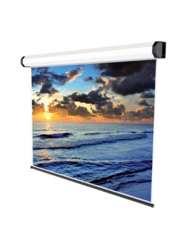 SCHERMO PROIEZIONE ELETTRICO "Professional" 1:1 280x158cm Tela Bianca Pulsantiera a parete inclusa
