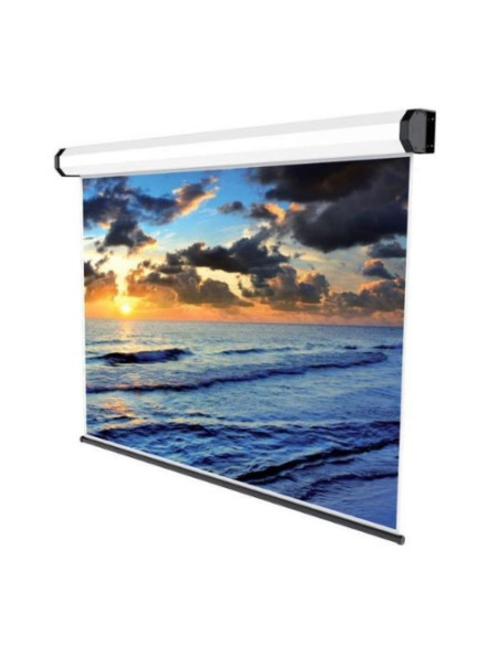 SCHERMO PROIEZIONE ELETTRICO "Professional" 1:1 280x158cm Tela Bianca Pulsantiera a parete inclusa