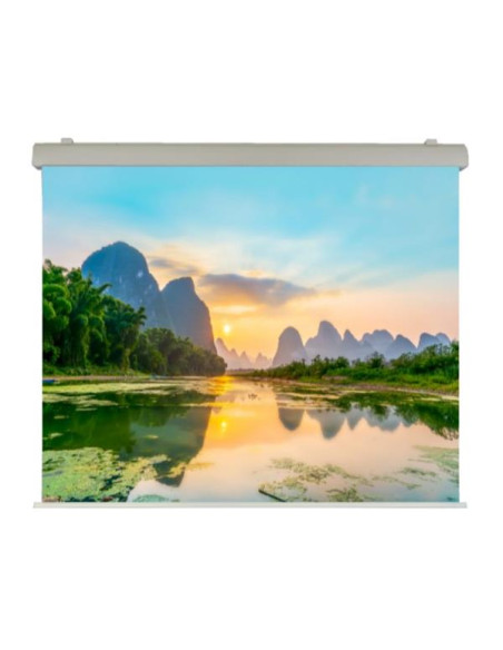 EL PROFESSIONAL 300X250