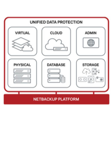 BCS PREMIER NAMED BUSINESS CRITI