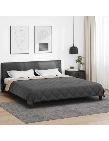 Duvet Estivo Antracite e Talpa 240 x 260 cm Microfibra