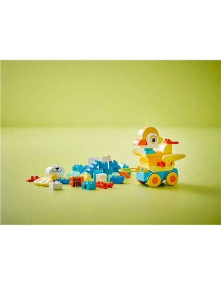 ANIMALI SU RUOTE 3 IN 1