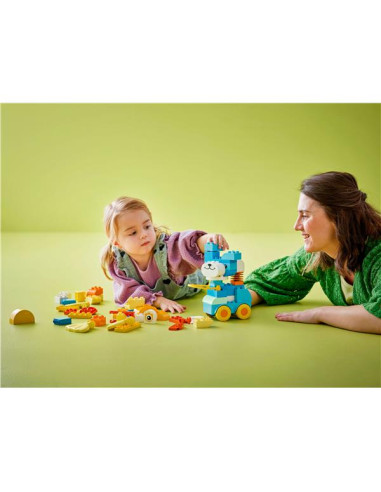 ANIMALI SU RUOTE 3 IN 1