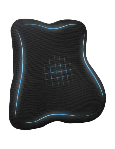 Cuscino con cuscino Regolabile Nero 40 x 40 x 11 cm a rete