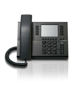 IP112 IP PHONE