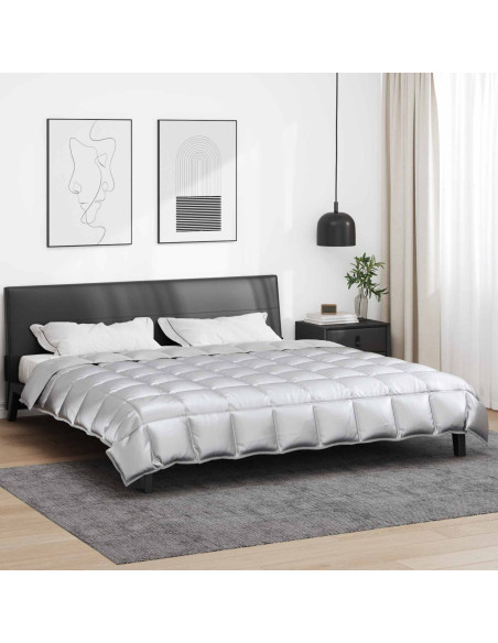 Duvet Invernale Argento 220 x 240 cm Satin e Micropile