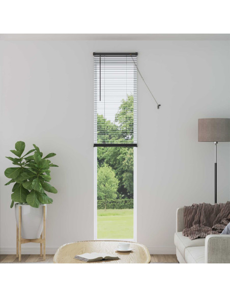 Tenda Veneziana Regolabile Grigio Argento 213 x 50 cm PVC