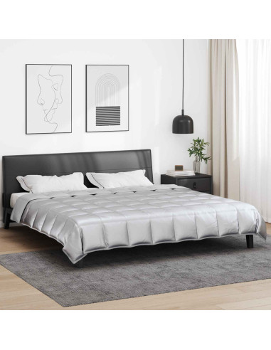 Duvet Estivo Argento 220 x 240 cm Satin e Micropile