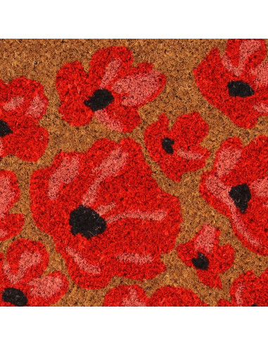 Zerbino Naturale 45x75 cm Fibra di Cocco