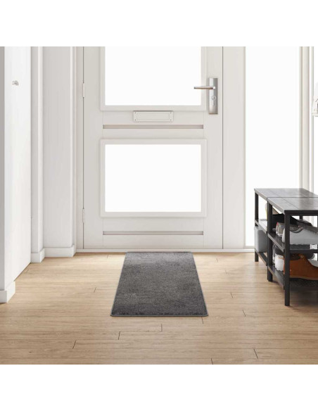 Runner in Moquette Grigio 50 x 250 cm 100% Polipropilene Tuft