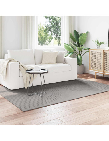 Tappeti per area HUARTE Grigio 230 x 160 cm Poliestere