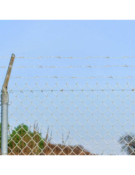Fil di Ferro Spinato Argento 100 m Acciaio Zincato a Caldo