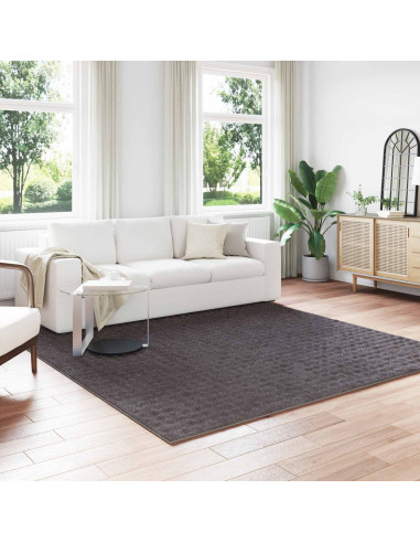 Tappeti per area HUARTE Antracite 240 x 240 cm Poliestere