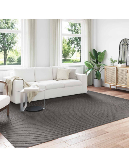 Tappeti per area Rettangolare Antracite 280 x 200 cm Poliestere