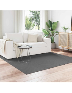 Tappeti per area HUARTE Antracite 120 x 120 cm Poliestere