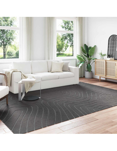 Tappeti per area HUARTE Antracite 340 x 240 cm Poliestere