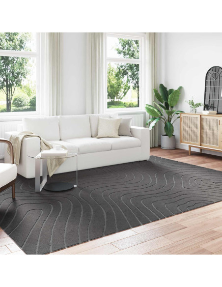 Tappeti per area HUARTE Antracite 340 x 240 cm Poliestere
