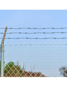 Fil di Ferro Spinato Verde 50 m Acciaio Zincato a Caldo