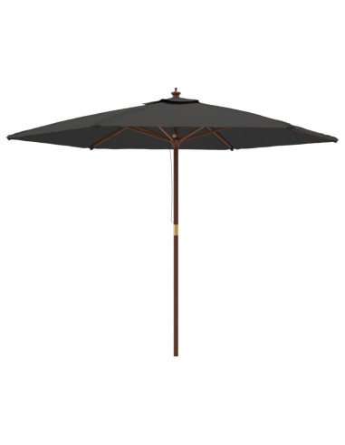 Ombrellone da Giardino con Palo in Legno Antracite 299x240 cm