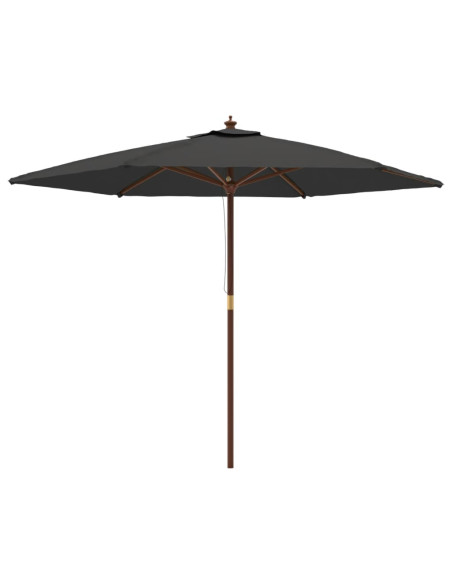 Ombrellone da Giardino con Palo in Legno Antracite 299x240 cm