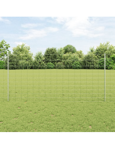 Recinzione con Posto Argento 1,2 x 50 m Acciaio