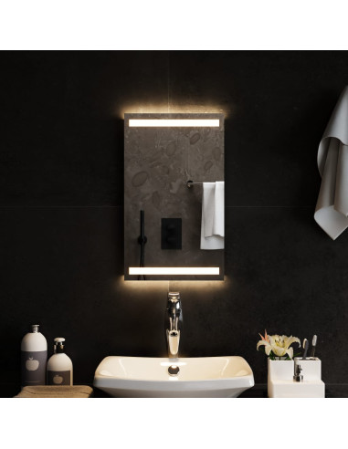 Specchio da Bagno con Luci LED 30x50 cm