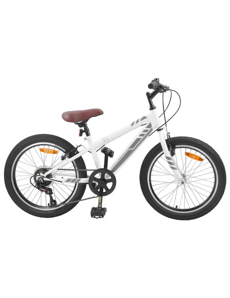 Mountain Bike 20 Pollici 6-Speed per 5-8 anni Bianco