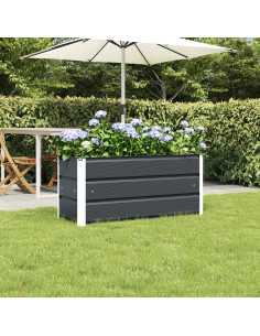 Fioriera Antracite 100 x 40 x 45 cm Acciaio 2