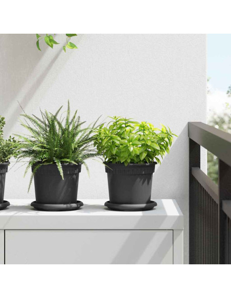 Vassoio Rotondo per Fiori 24 pcs Nero Ø 14 x 2 cm Plastica