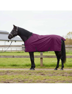 Coperta per Cavalli Verde Scuro e Nero 75 cm Poliestere 2