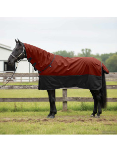 Coperta per Cavalli Verde Scuro e Nero 95 cm Poliestere