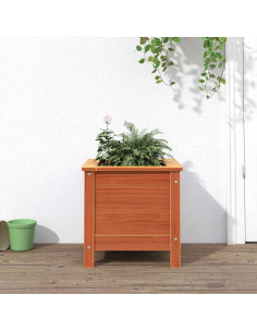 Vaso da giardino Marrone cerato 40 x 40 x 39 cm Pino massello