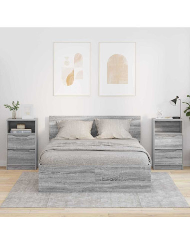 Comodini 2 pcs Grigio Sonoma 40 x 30 x 467 cm Legno multistrato