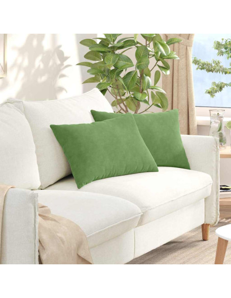 Cuscini da Divano 2 pcs Verde chiaro 60 x 40 cm