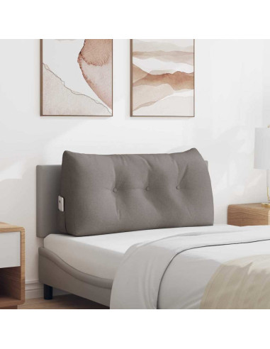 Cuscino per Schiena Talpa 100 x 24 x 50 cm Tessuto