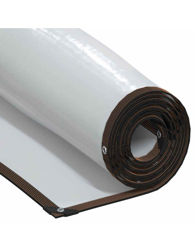 Telone Trasparente con Occhielli 5x5 m in Polietilene