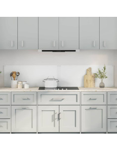 Rivestimento da Cucina 2 pcs Trasparente 100 x 40 cm