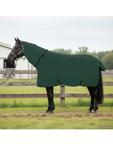 Coperta per Cavalli Verde scuro completo Poliestere