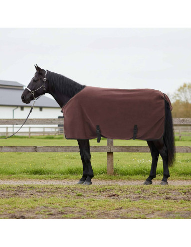 Coperta per Cavalli Marrone Scuro Completo Poliestere