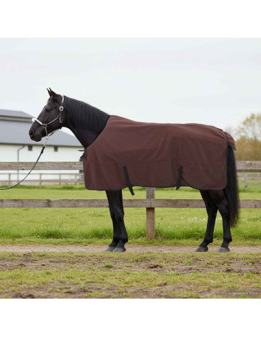 Coperta per Cavalli Marrone Scuro Completo Poliestere