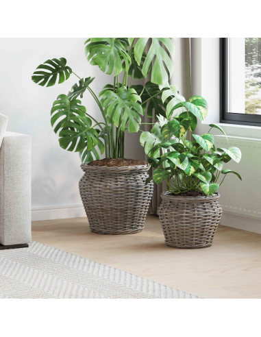 Cesto per Piante con archiviazione 2 pcs Grigio Rattan Lacak